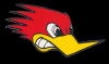 Road-Runners-Logo