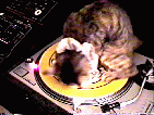 It goes round...and round...and round...